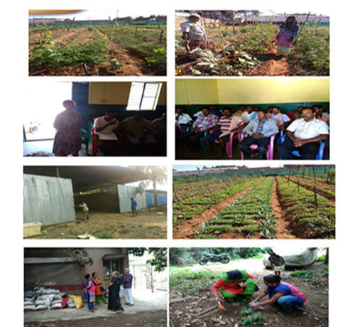 Awareness_Program_03