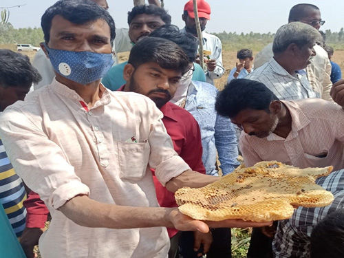 Awareness_Program_05