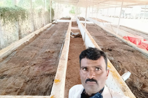 VermiCompost_Production