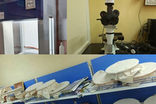 Services_01_Contract Research