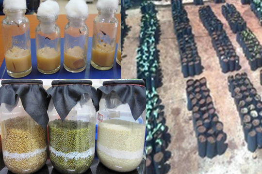 Service_03_Product Evaluation