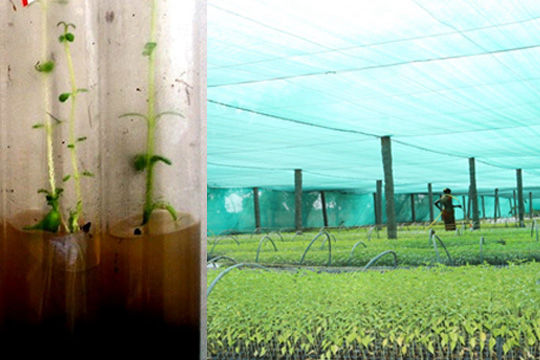 Services_04_Training